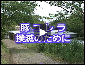 動画はこちら
